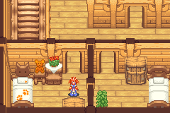screenshots/Game Boy Advance/Summon Night - Swordcraft Story 2/Summon Night - Swordcraft Story 2 (Eng)_2016_01_14_14_49_45_664.png